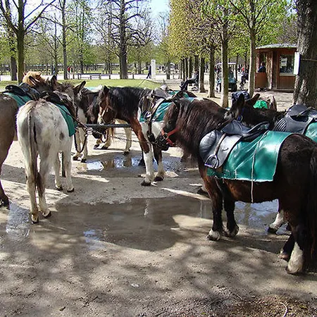 巴黎梅费尔酒店 巴黎