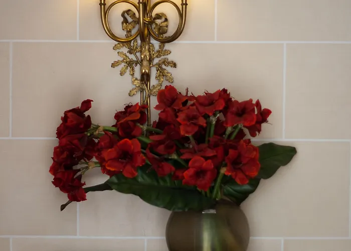 호텔 메이페어 4*