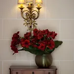 Hotel Mayfair 4*
